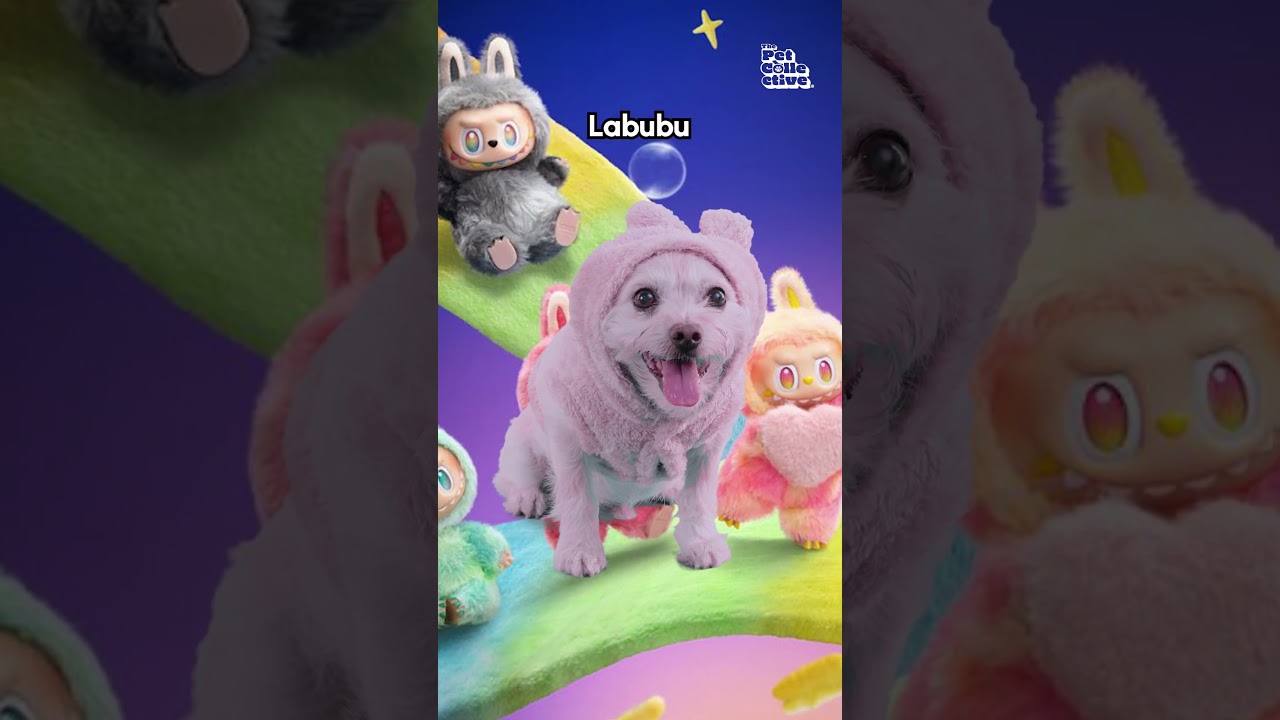 Dogs Reenact The Most Viral 2025 Moments