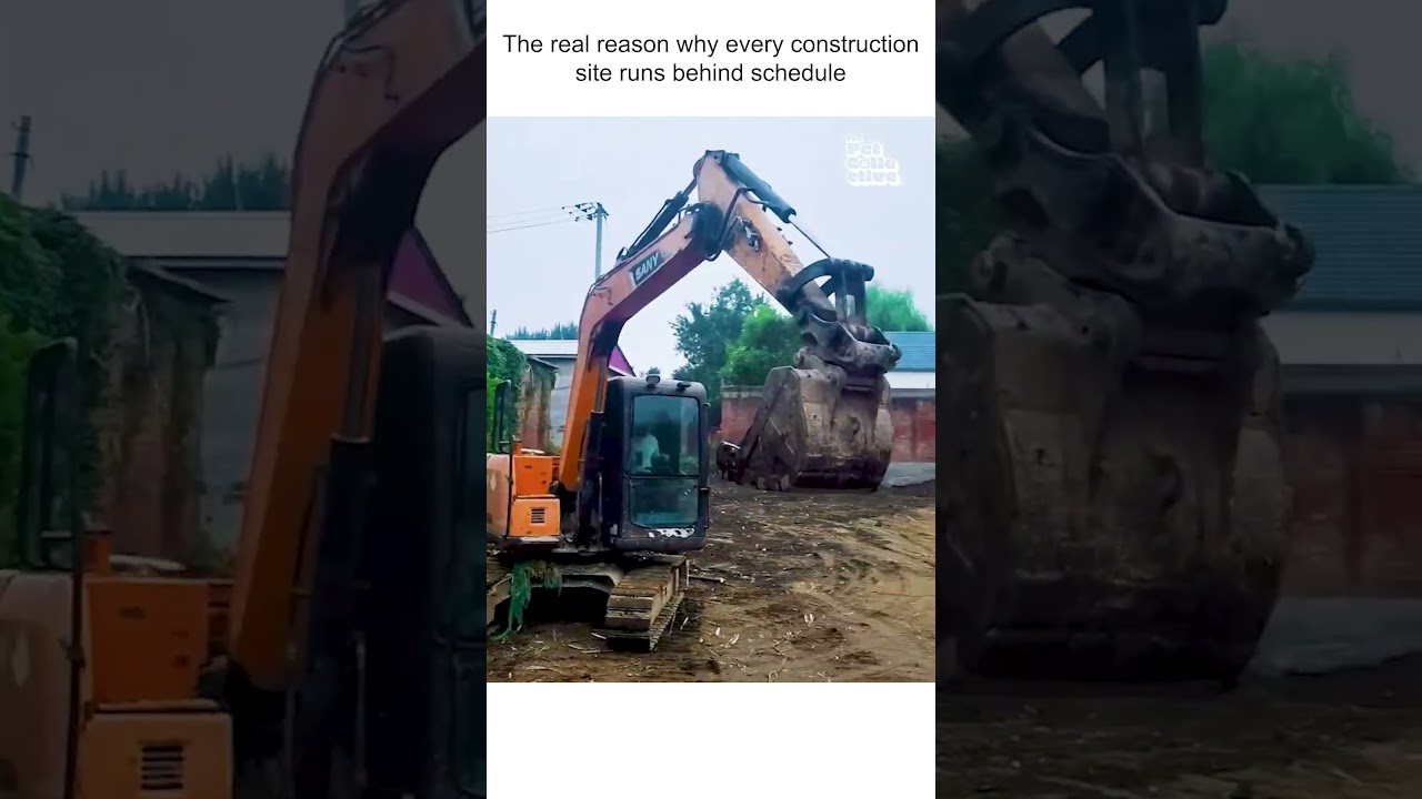 Happy Puppy Plays With Construction Workers