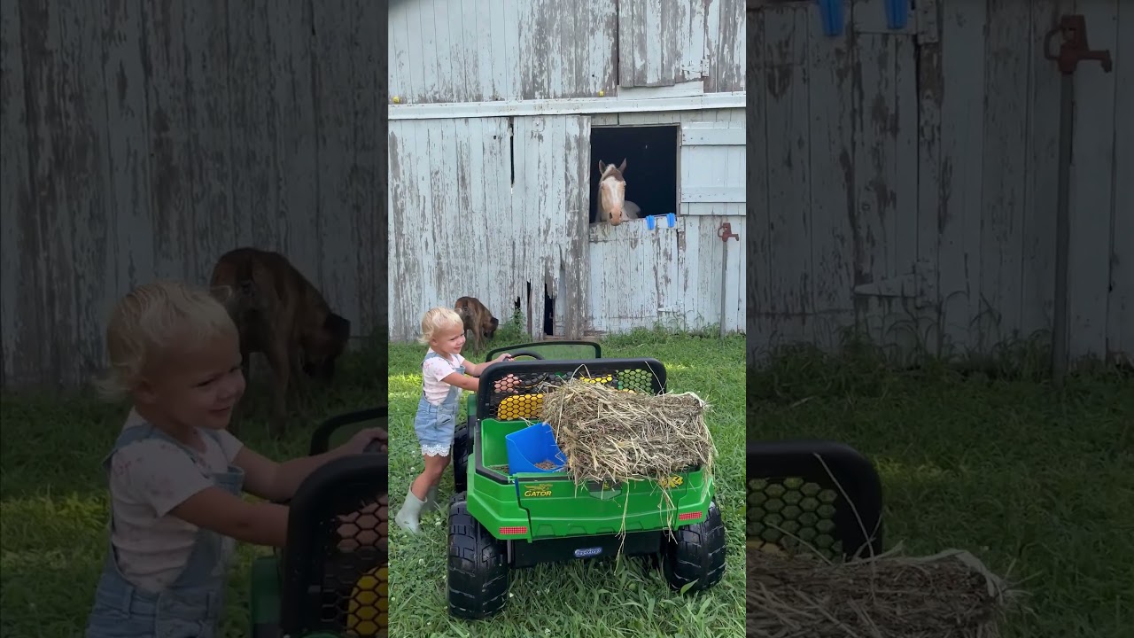 Kid Drives Toy Car Across Ranch To Feed Horse