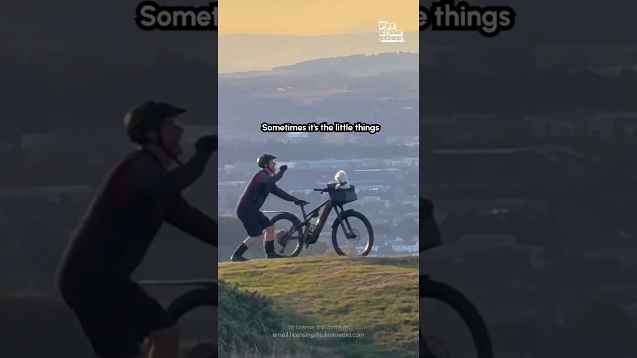 Cyclist Takes Photos Of His Dog During Bike Ride In Heartwarming Moment