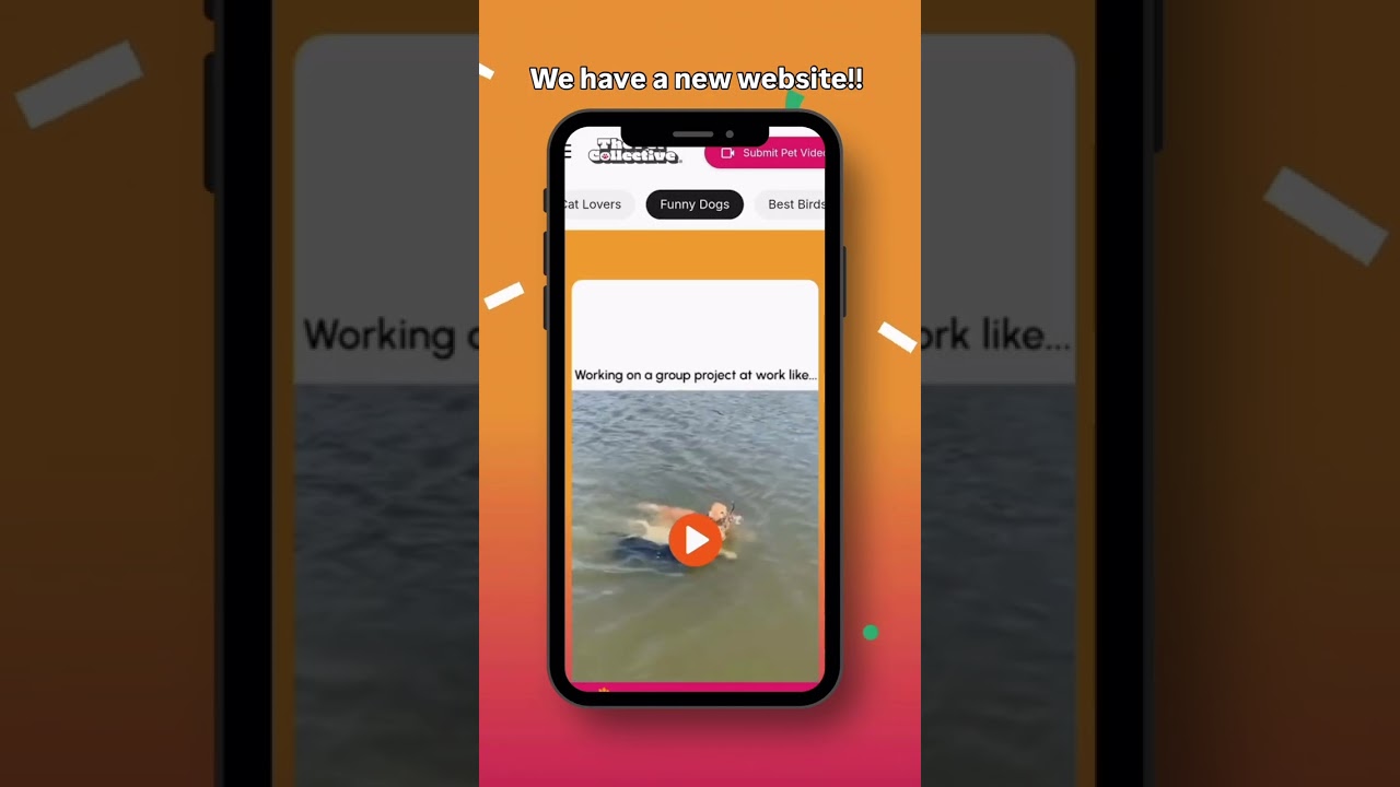 Don't wait for the algorithm...see ALL the best videos of the week right when you want them  🎉