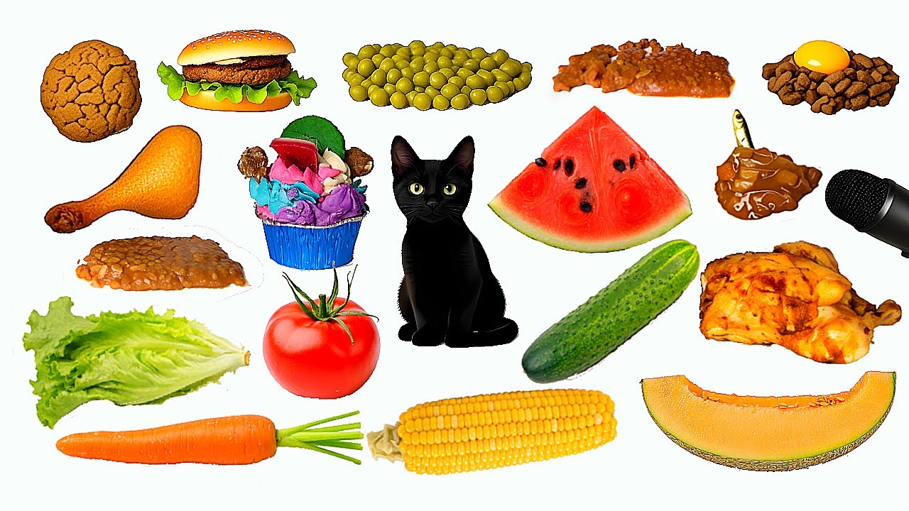 Cat Eating EVERYTHING ASMR 🍉🥕🥒🍗🌽🧁
