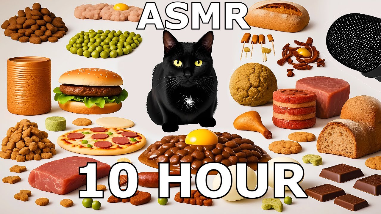[10HOUR] CAT ASMR Eating Sounds for SLEEP & RELAXATION 💤
