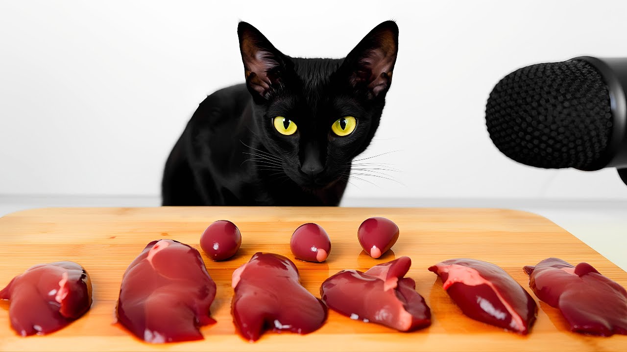 ASMR Mukbang | Black Cat Eating Liver (No Talking)