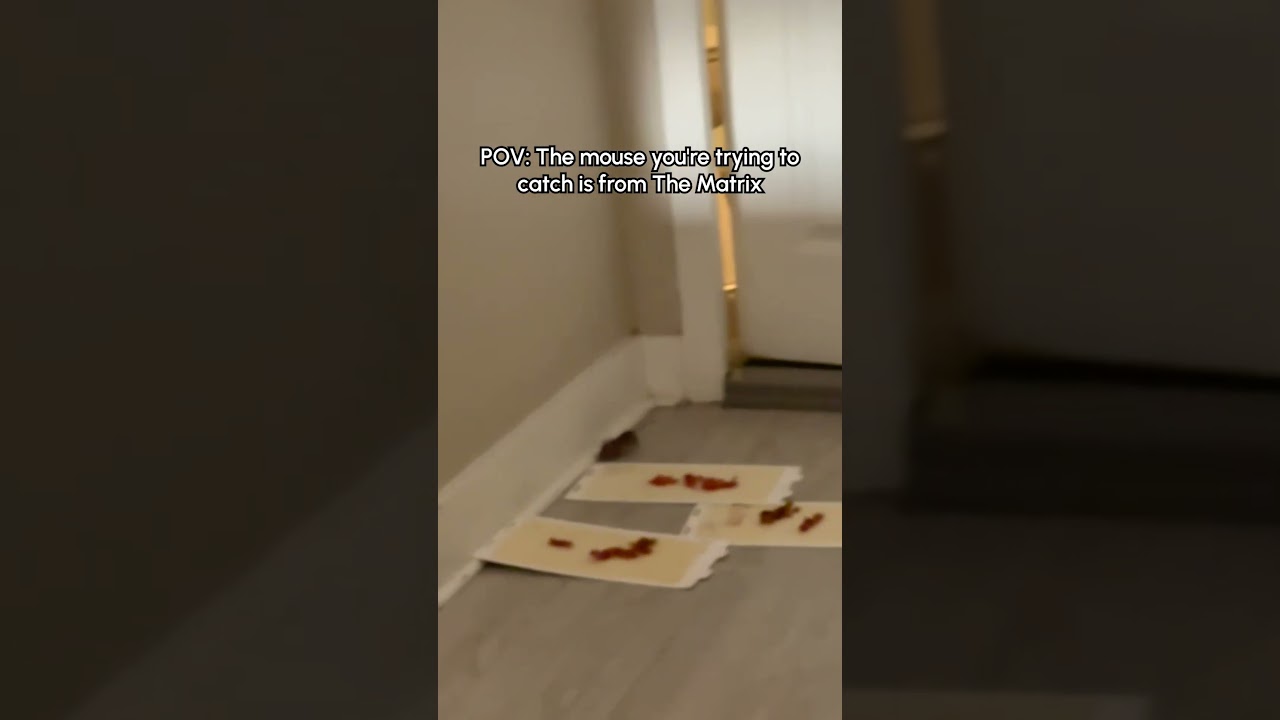 Clever Mouse Outsmarts Traps!