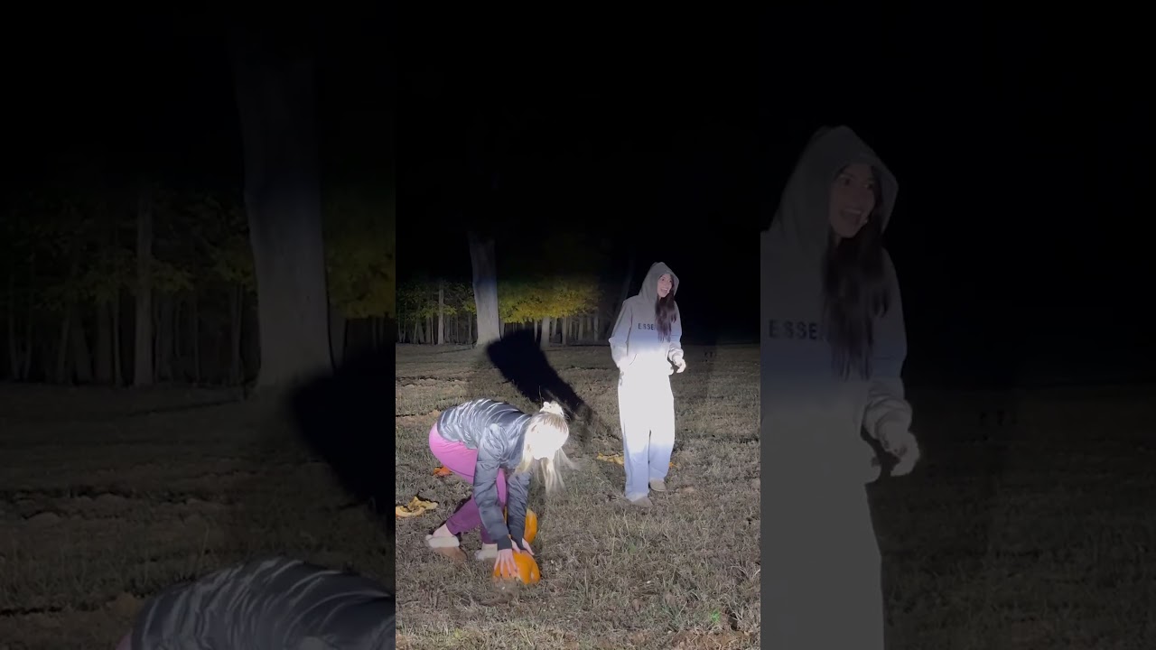 Cow Appears During Pumpkin Smash