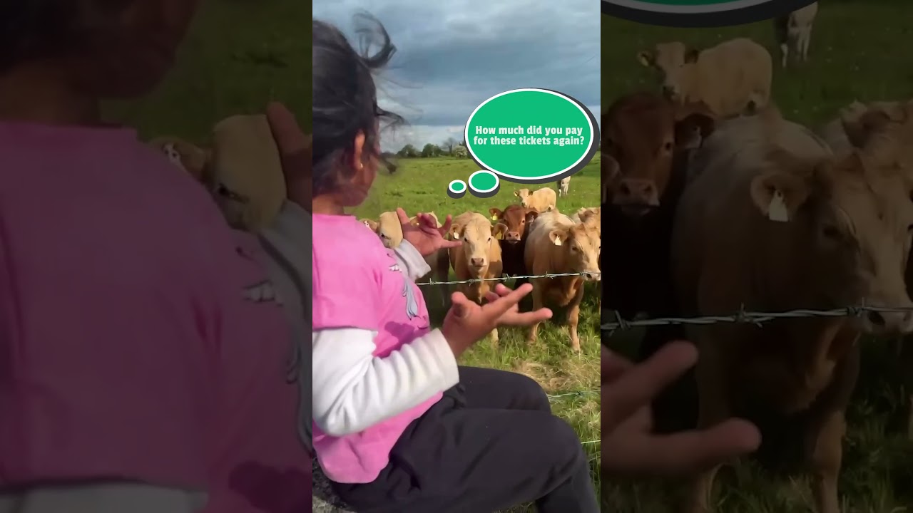 Cows Love To Listen To Little Girl Sing For Them!