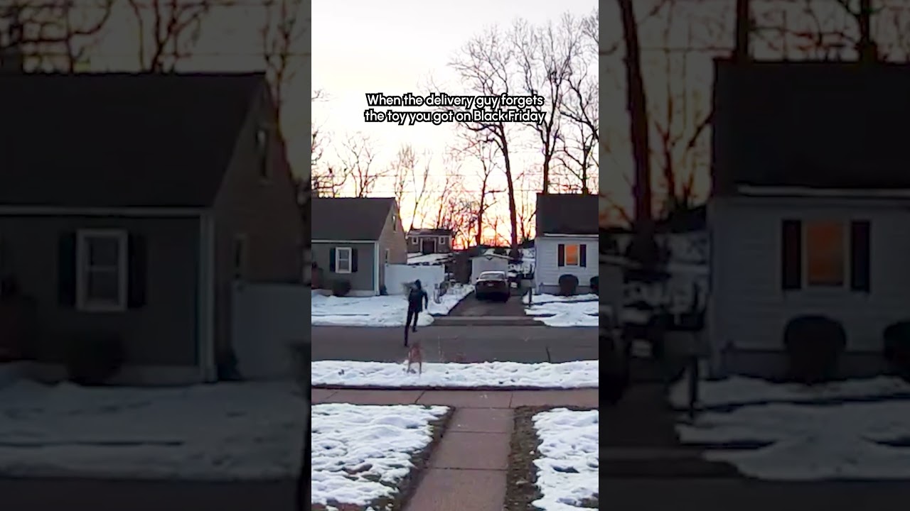 Delivery Man Gets Chased By Dog