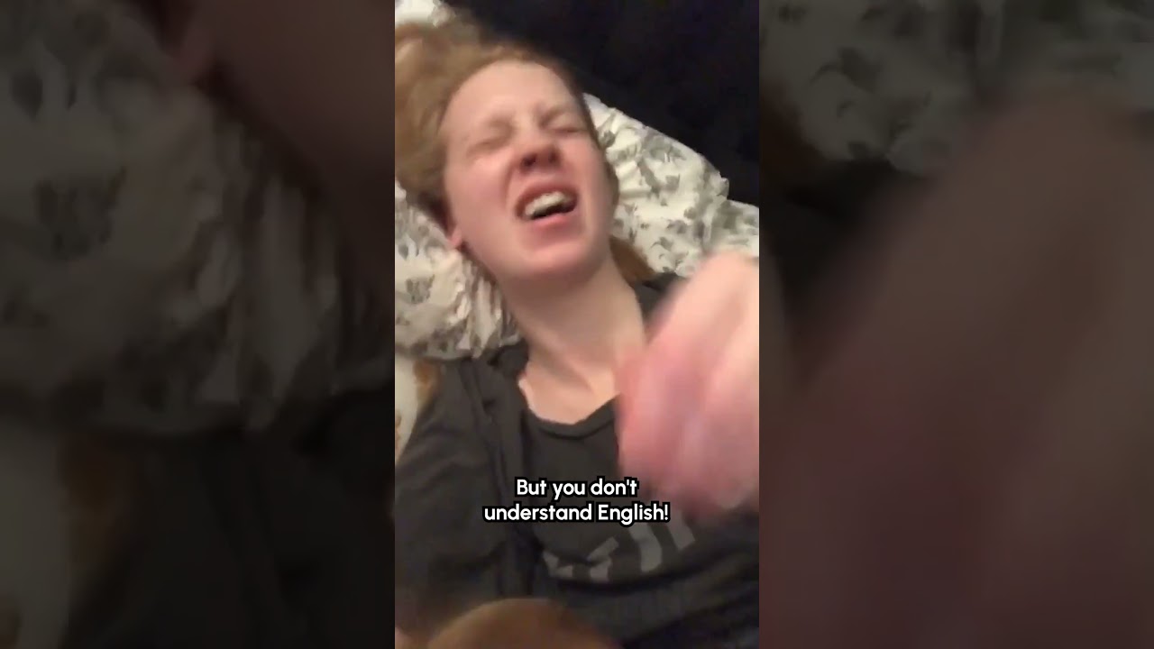 Dog Accidentally Keeps Hitting Person In Face With His Tail