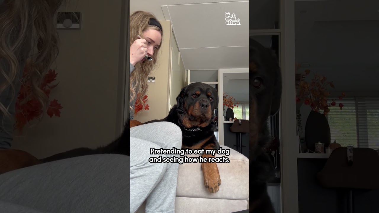 Dog Reacts To Mom Pretending To Eat Him
