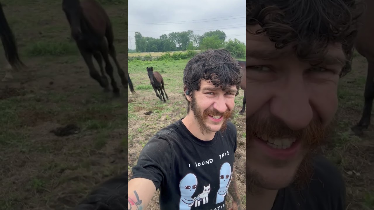 FUNNIEST Pets Of The Year (2025)