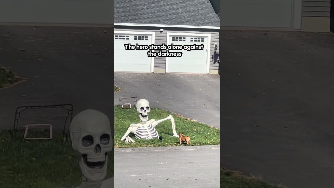 He is so brave. He fears no one 🐕💀