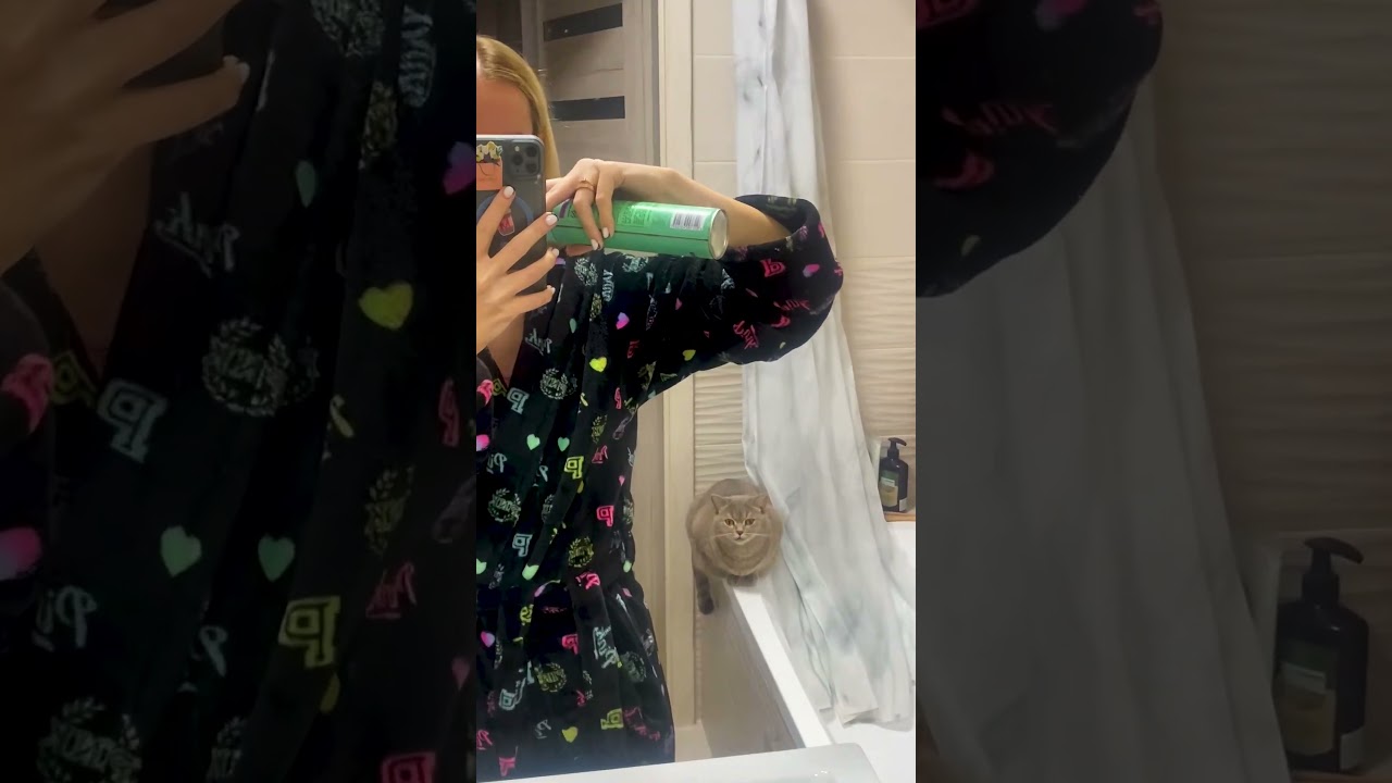 Hilarious Cat HATES Hairspray Noise