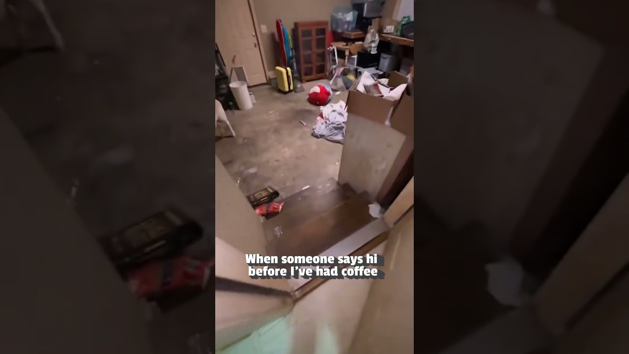 Hilarious Sheep Freaks Out at Greeting