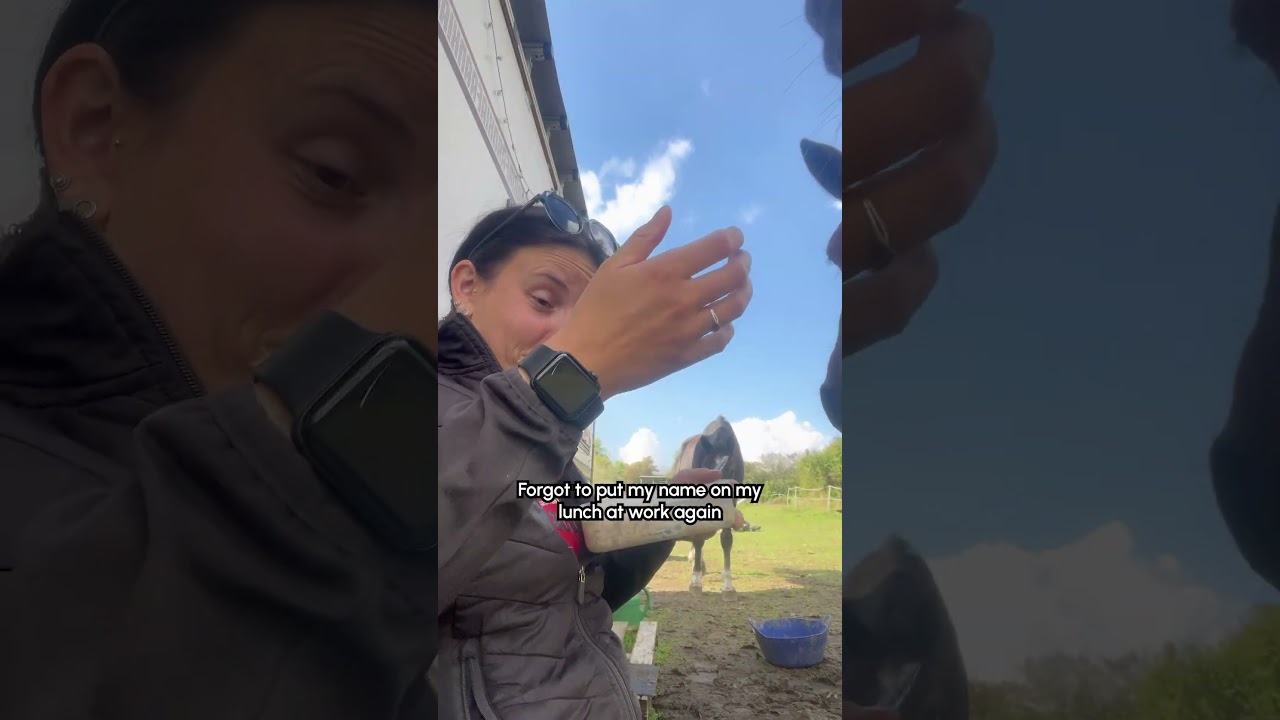Horse Tries Taking A Bite Of Owner's Lunch