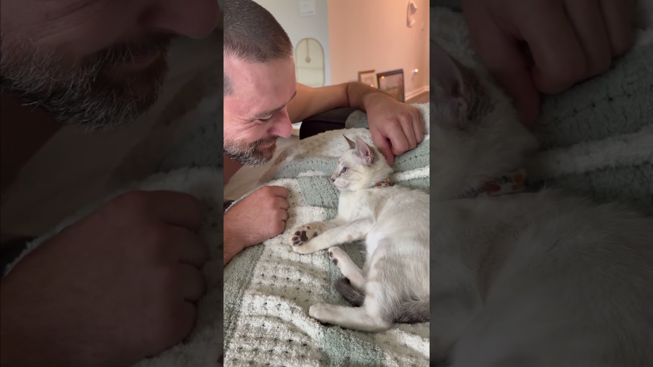 Man Imitates Cat Every Time She Licks Herself