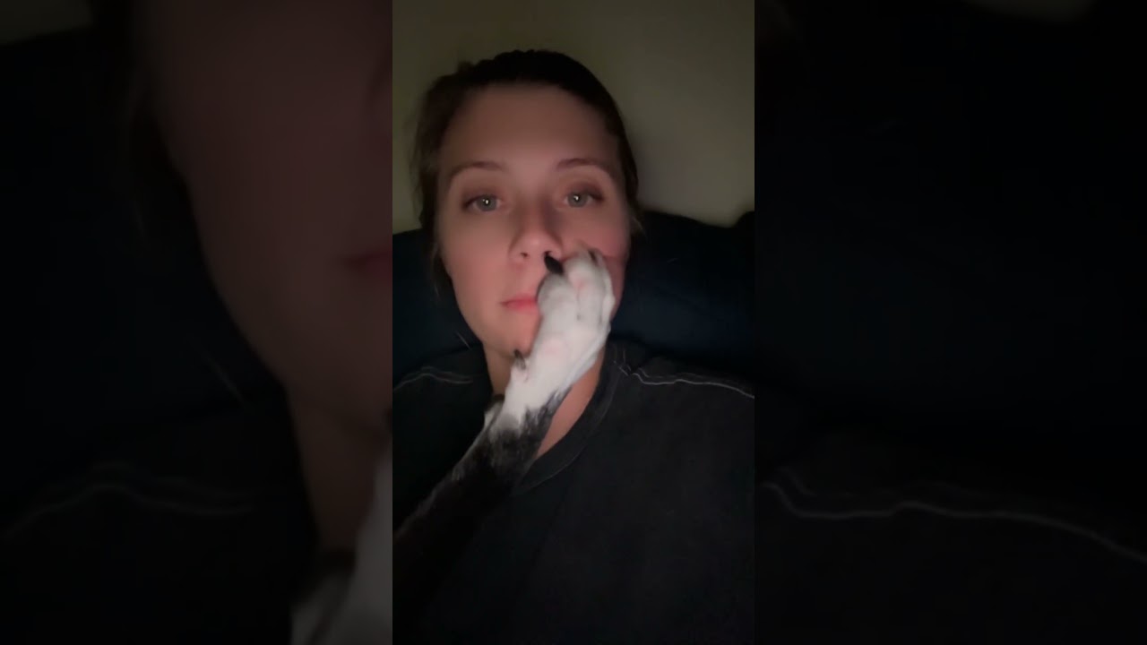 My Dog Is TOO Clingy...