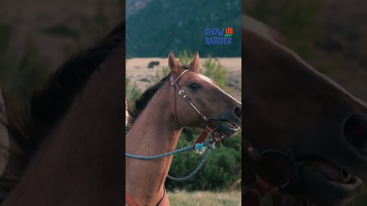 🚨Someone call HR on these filthy animals! 😼#Funny #Baddies #Hilarious