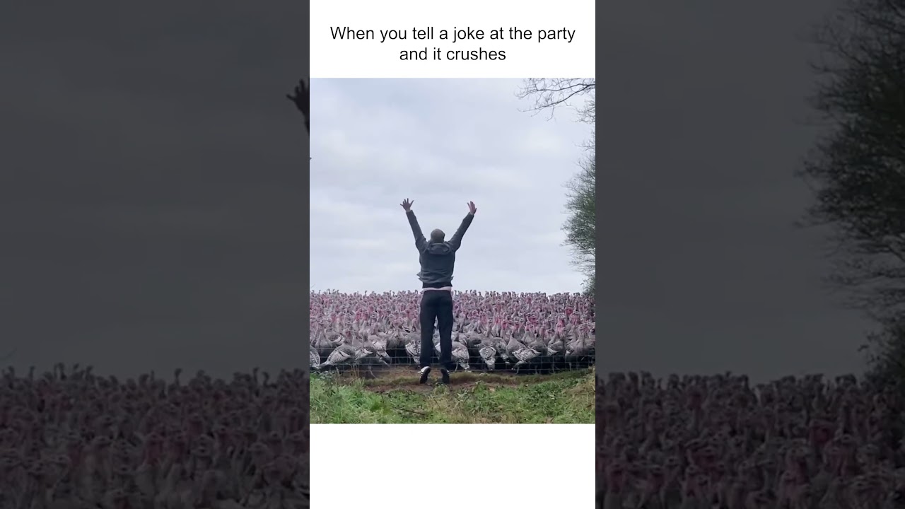 "Minions!!! Tonight! We steal the moon!" 🤣🦃 #Turkey #Funny #FarmLife