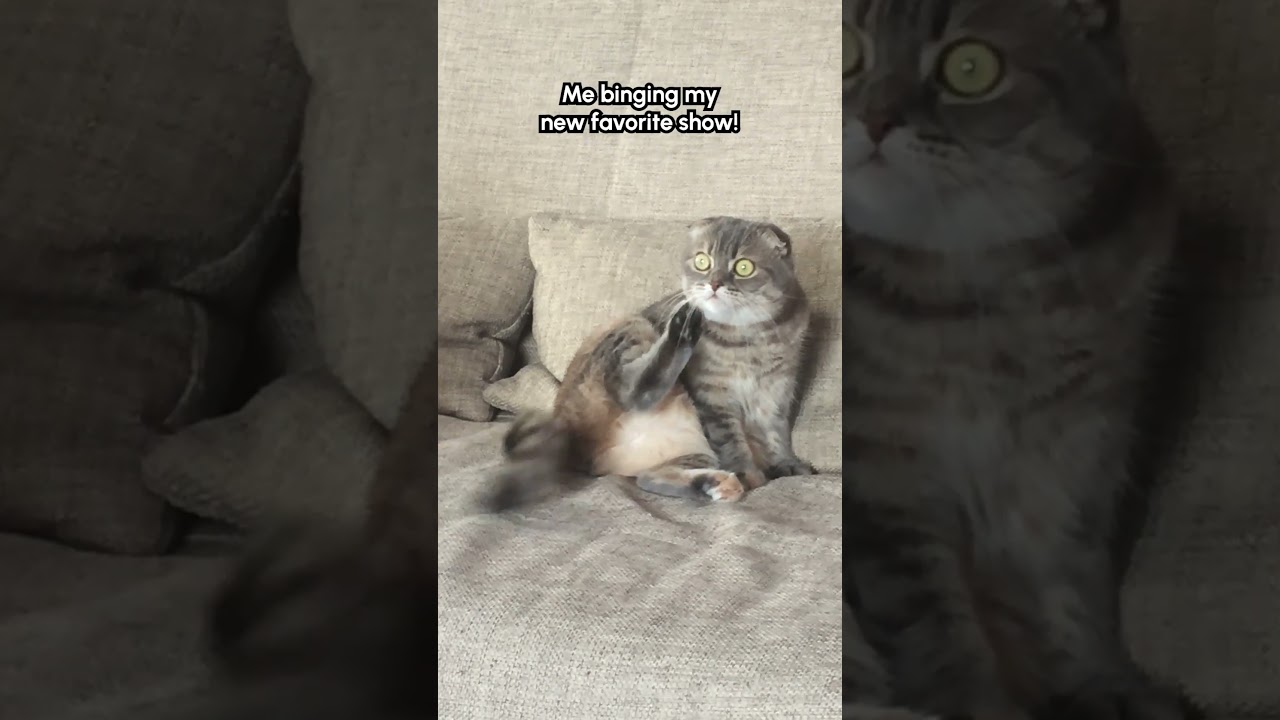 Watching the end of #StrangerThings part 1 right before Thanksgiving dinner like: