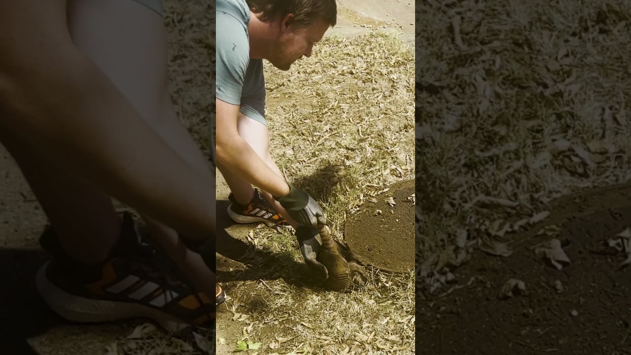 They Just Pulled An Animal Out Of This Hole! 😱