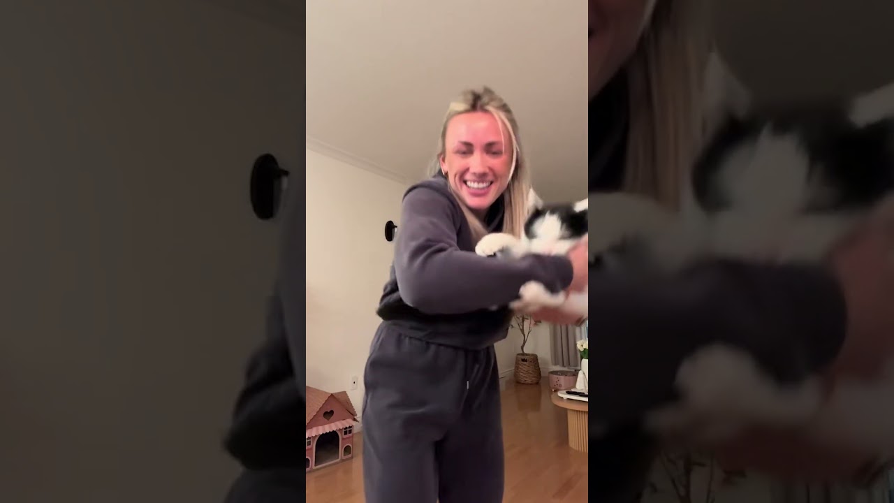 His Name Is Scrappy Doo, And This Is His Party Trick 🤣 #Cats #FunnyCat