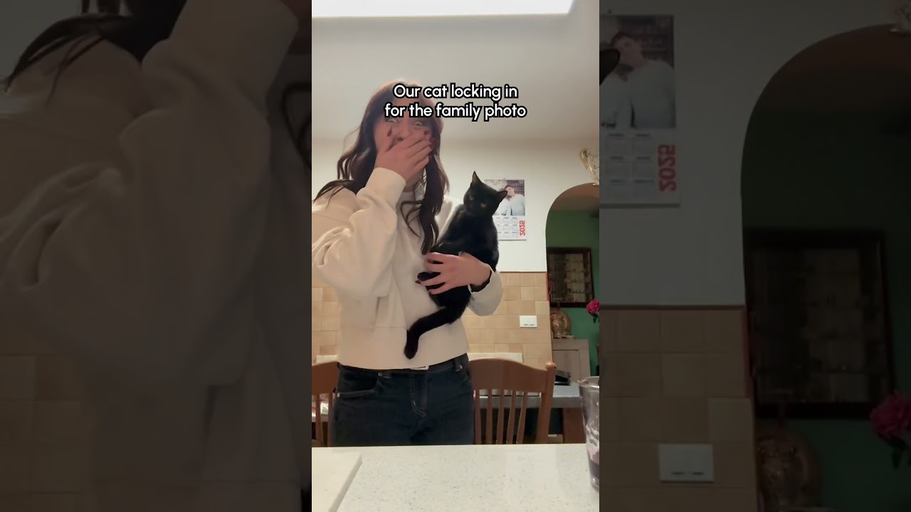 Adorable Cat Waves When Parents Do