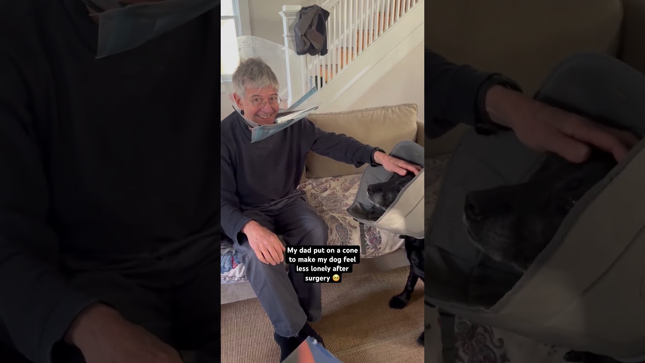 Grandpa Wears Cone In Solidarity With Dog After Surgery 😂💕