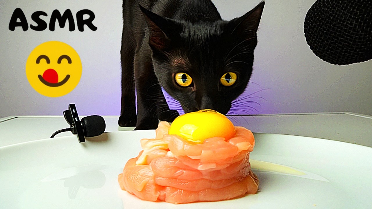 CAT ASMR | Black Cat Eating Raw Chicken & Egg Yolk (Satisfying Eating Sounds)