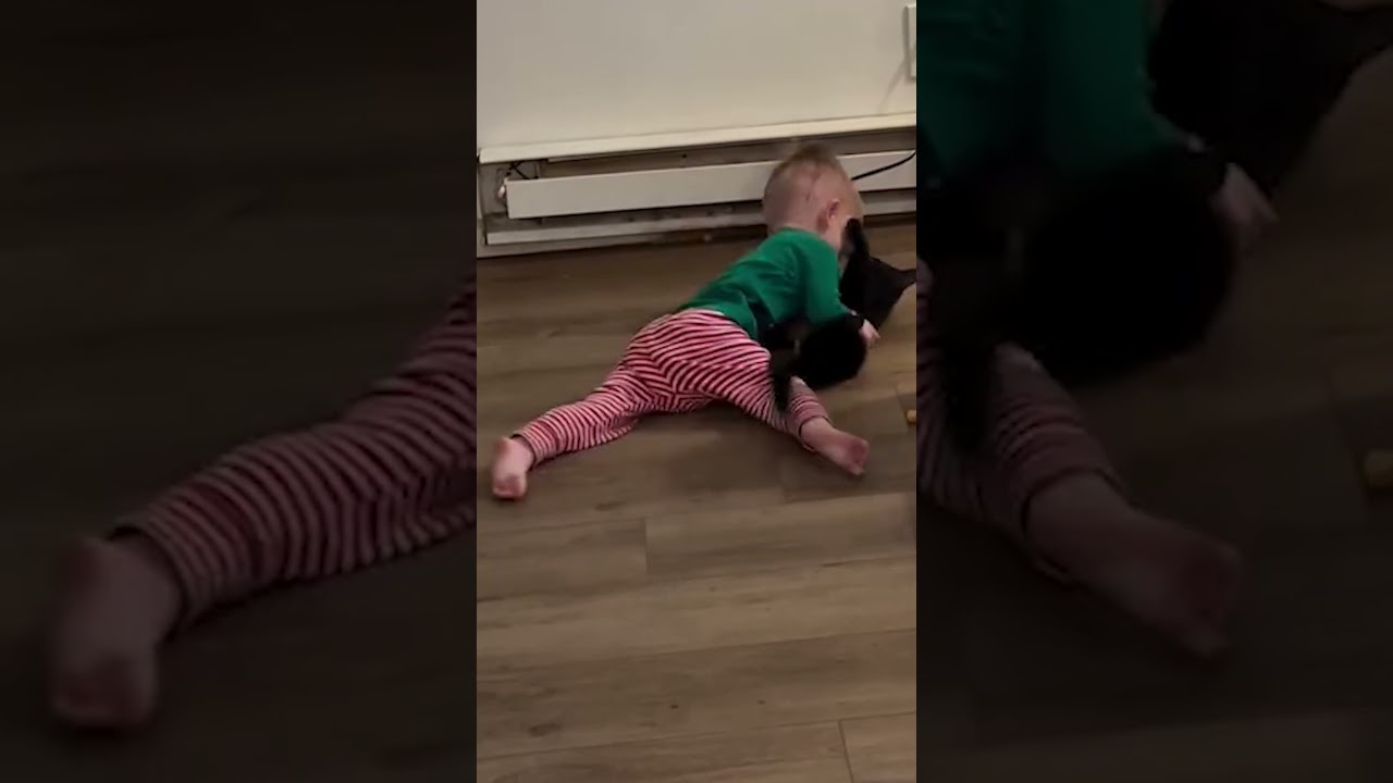 Boy And Cat Have Heartwarming Interaction 😍