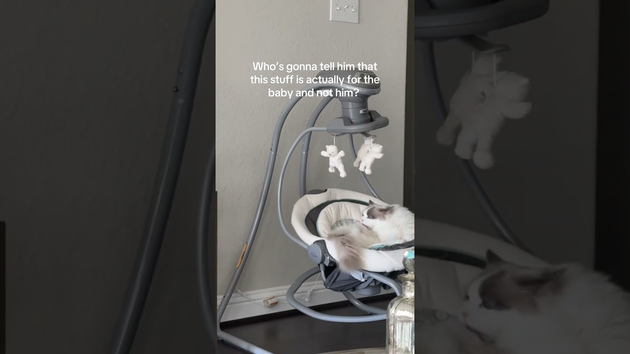 Cat Hijacks Baby's Swing