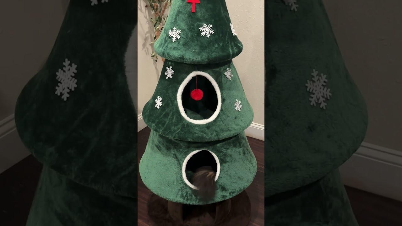 Cats Explore Christmas Tree Cat Tower