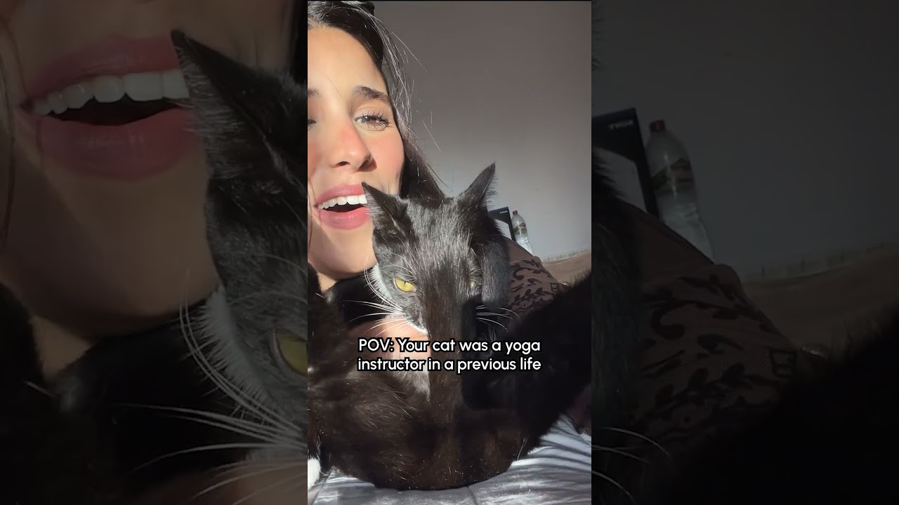 ✨ Gotta do your daily stretches ✨,#Cat #FunnyCat #Yoga