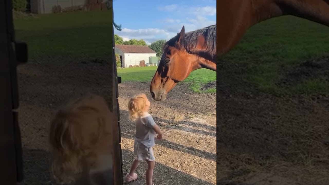 Funniest Farm Animals Of 2025 🐐🤣