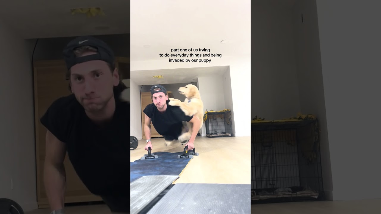 Funny Puppy Won't Let Dad Workout