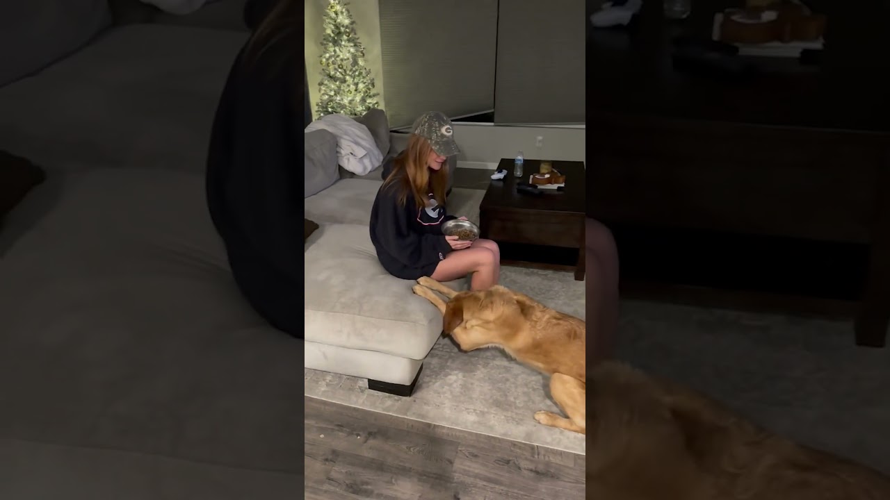 I Taught My Dog How To Say Grace