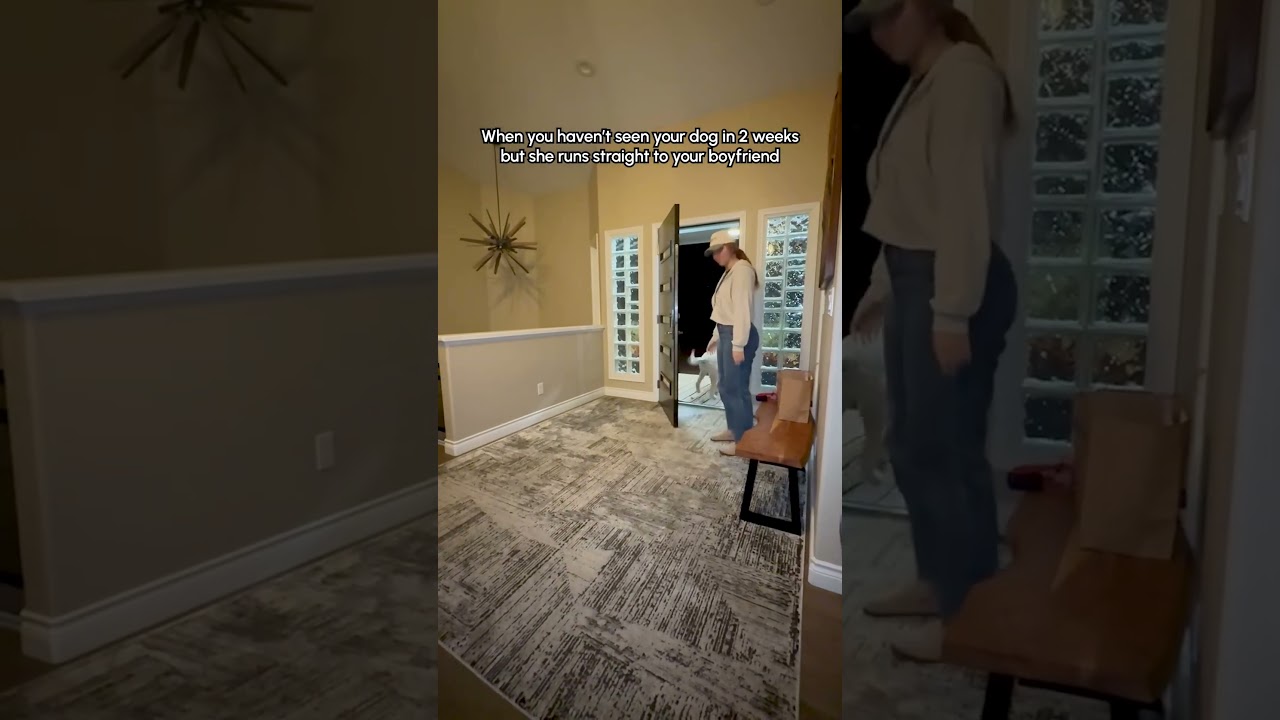 My Doodle Likes My Boyfriend More Than Me... 😅🐕