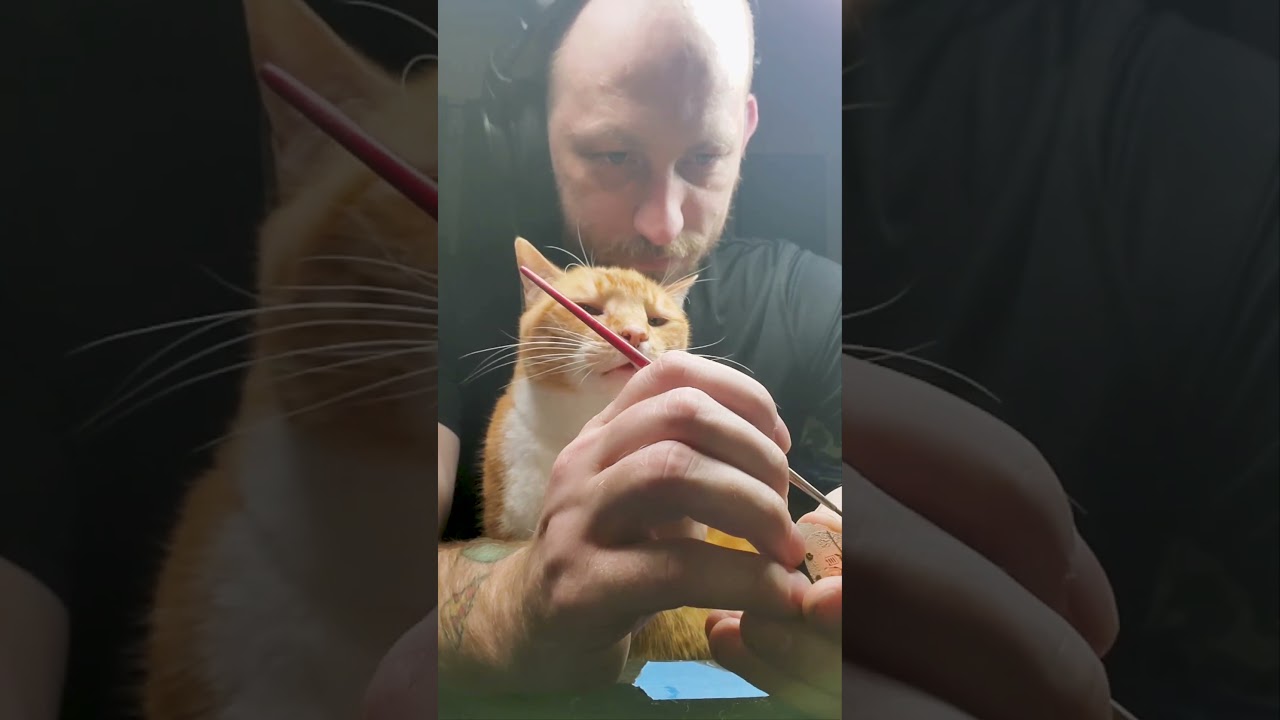 Orange Cat Keeps Trying To Eat My Paintbrush 😭