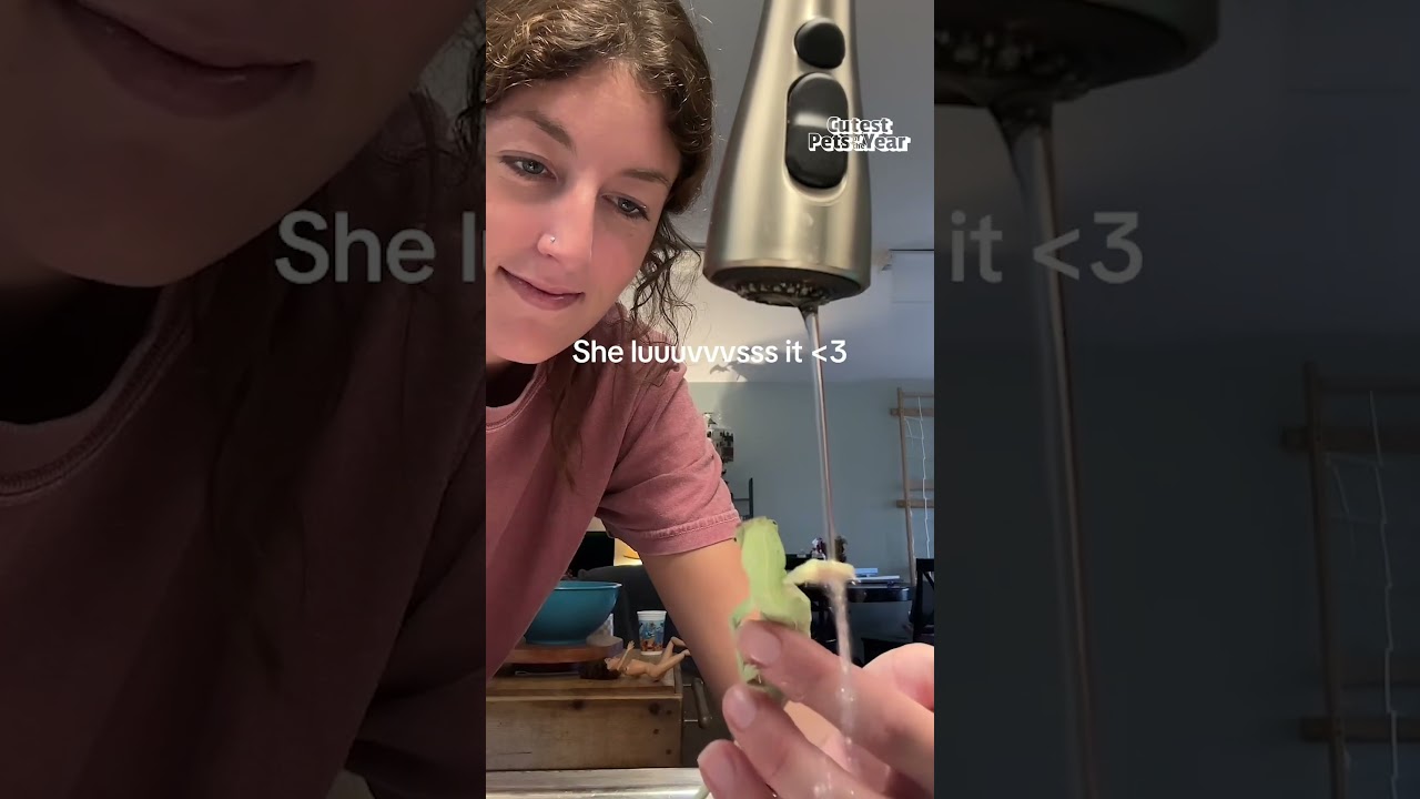 The CUTEST & Most ADORABLE Animals Of The Year!