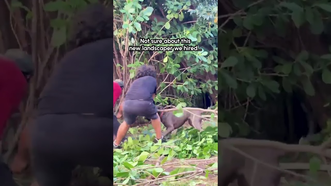 Watch My Dog Help With The Yard Work