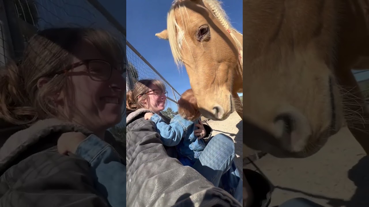 Adorable Horse Loves To Make Child Laugh