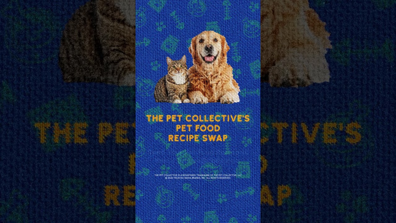 ✨ Pet Food Recipe Swap Incoming ✨ Let's all share our fav recipes for our furry friends this month!🌭