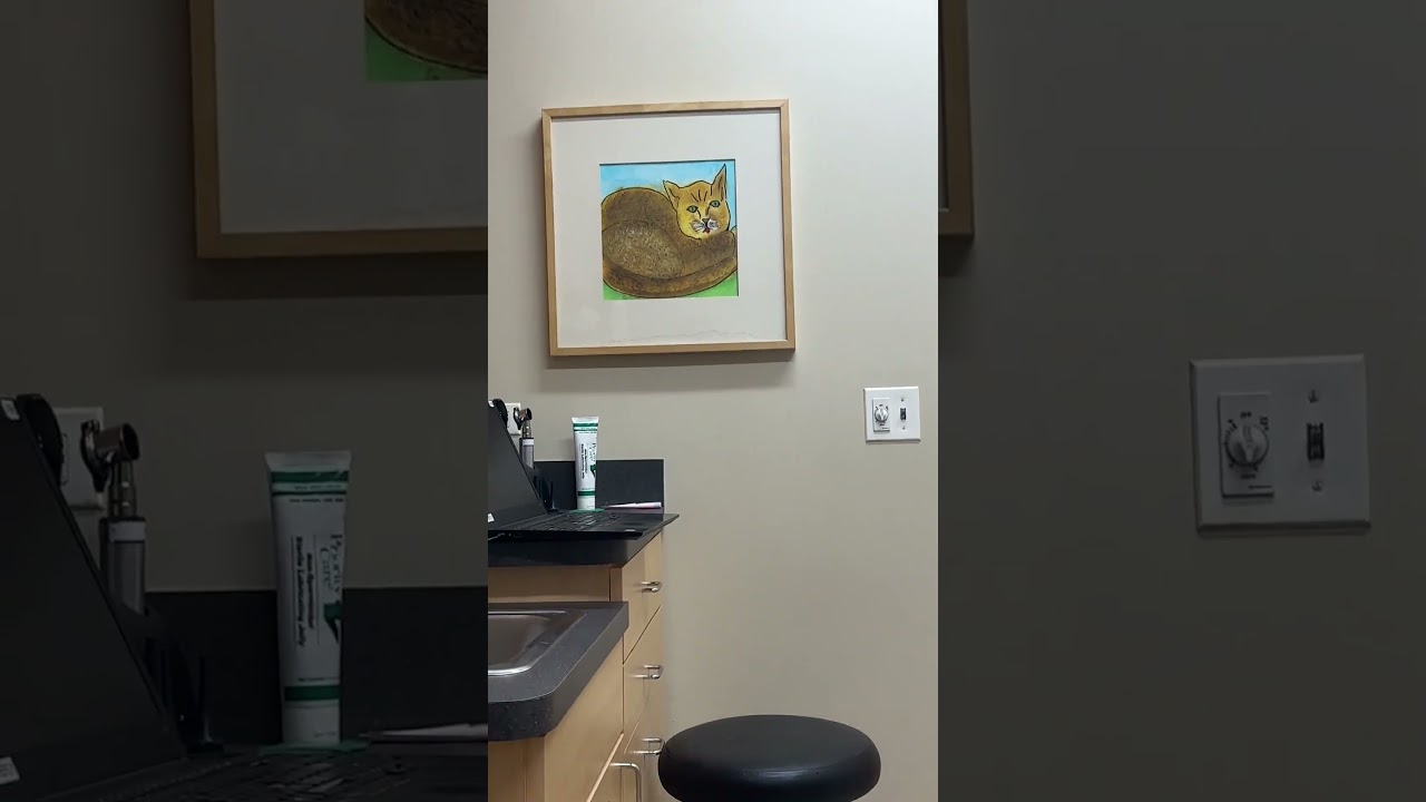 Art Critic Dog Barks At Painting Of Cat