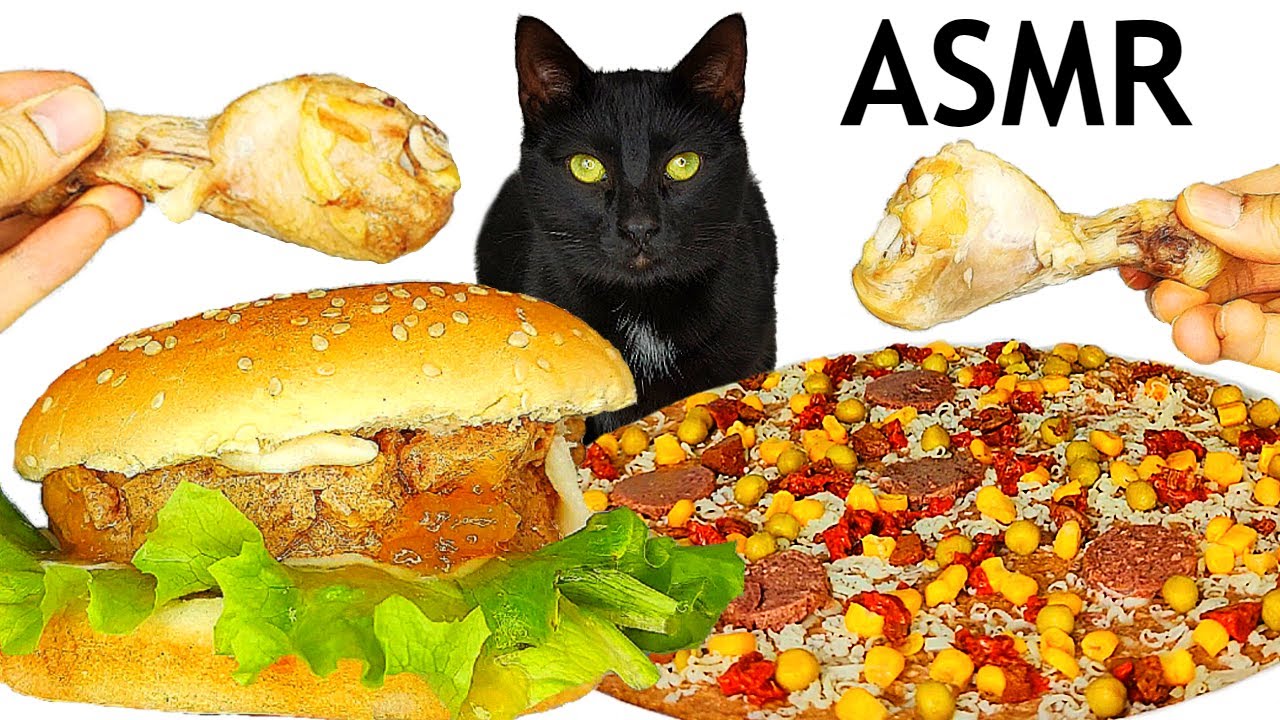 ASMR Mukbang | Cat Eating Burger, Pizza and Chicken