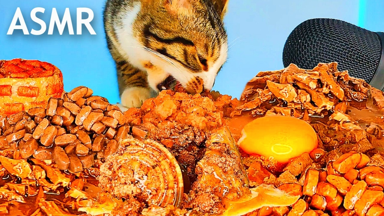 ASMR Mukbang | Cat Eating Wet Food Feast 🐱