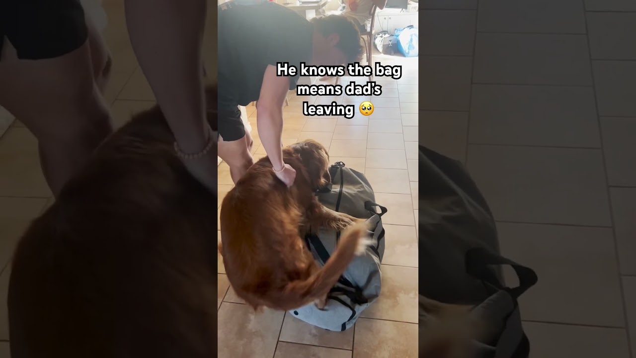 Well now you can't leave. Cancel whatever it was that you had to do! 😤🐕