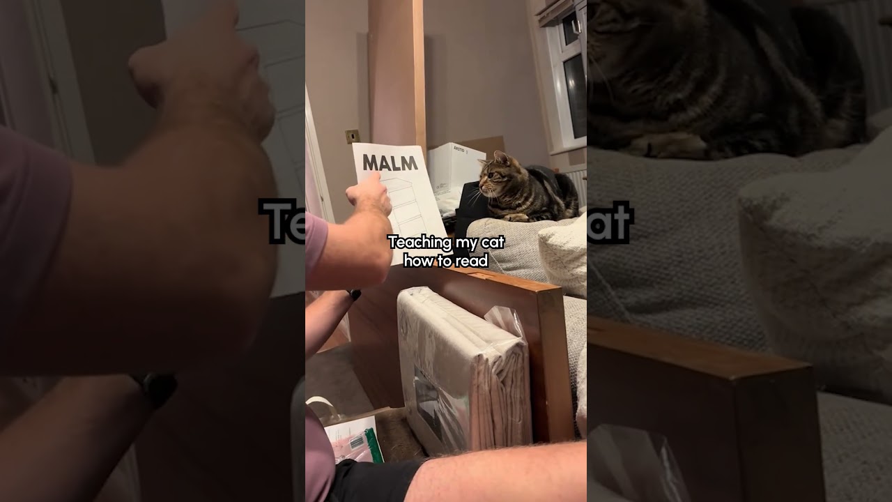 He’s fluent!!! 😻 Now just gotta teach him to assemble stuff 🔨😅