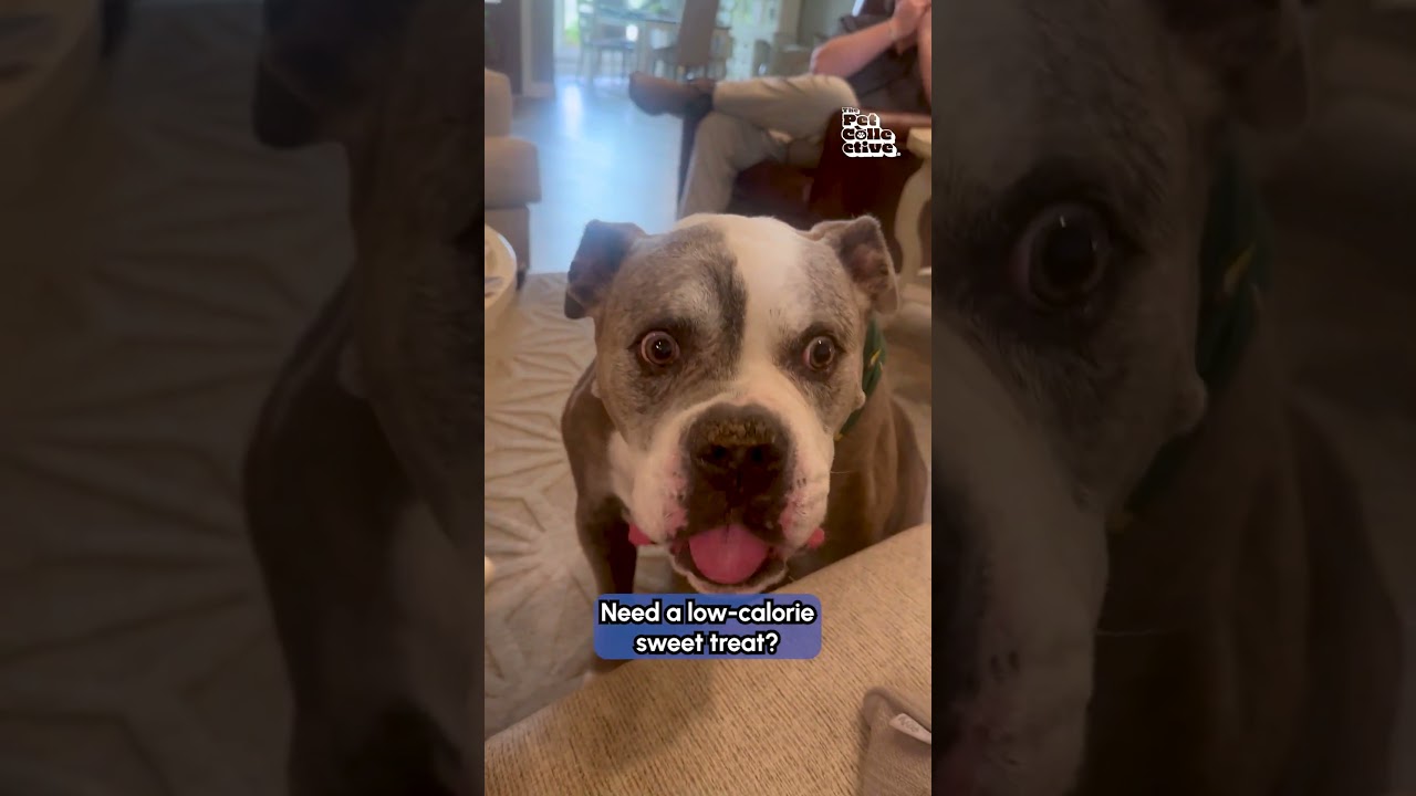 New Year, New Recipes! 🌭 Don't let the dog hijack your meal, make them something fun too!! #Recipe