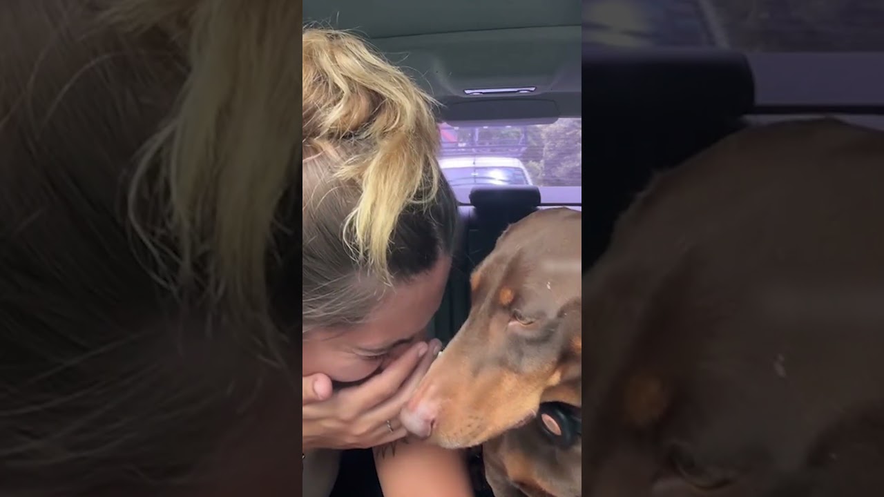 Dog Accidentally Headbutt's Mom Trying To Take A Cute Video