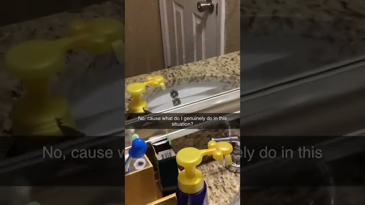 Frog Torments Me From My Bathroom Sink